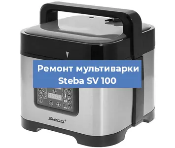 Замена ТЭНа на мультиварке Steba SV 100 в Новосибирске